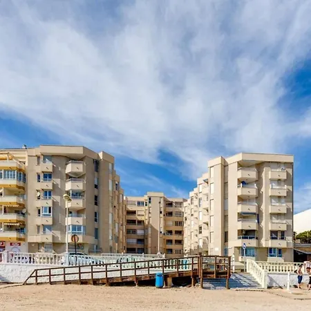 Lemon Torrevieja